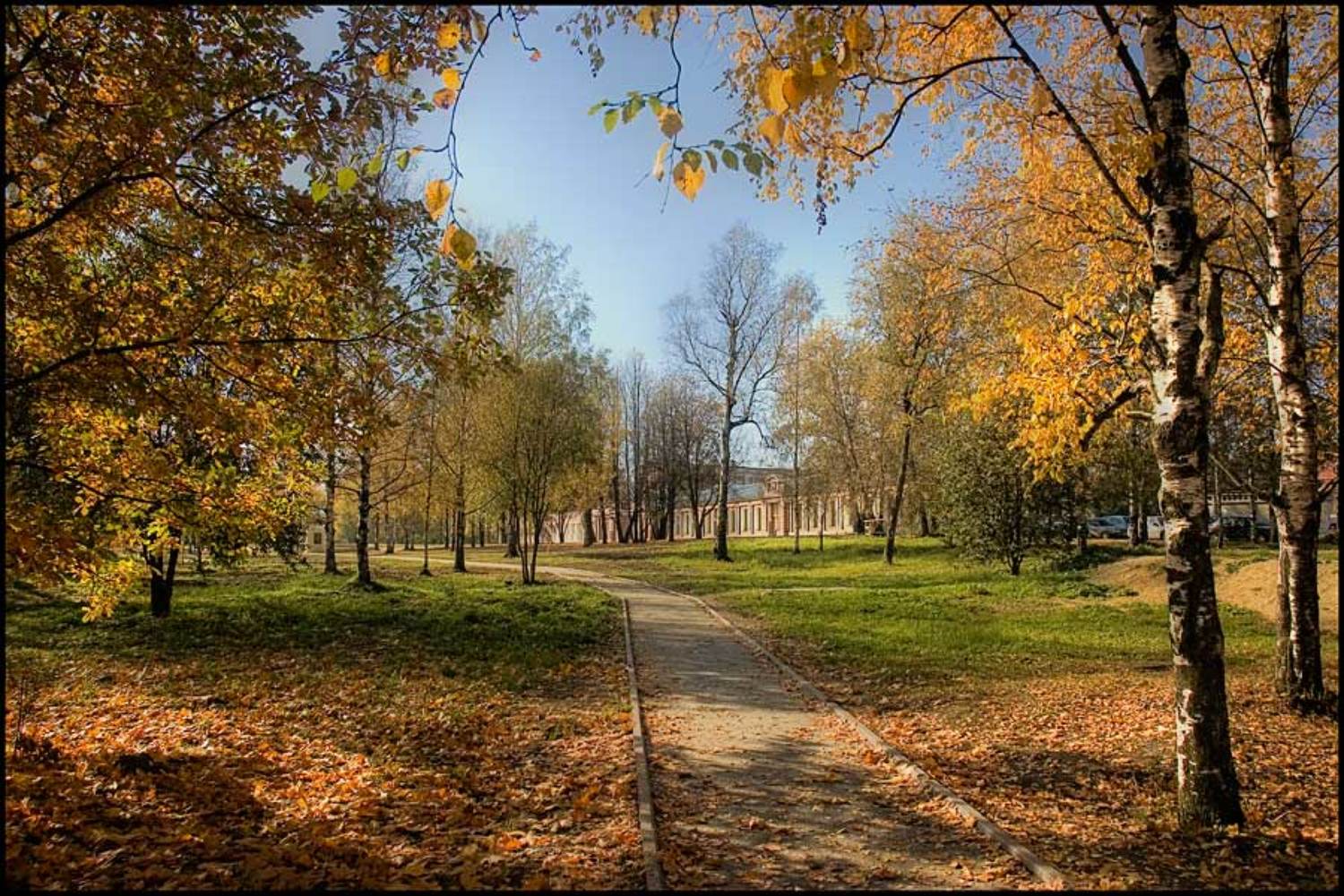 гатчина, Лычёв Александр