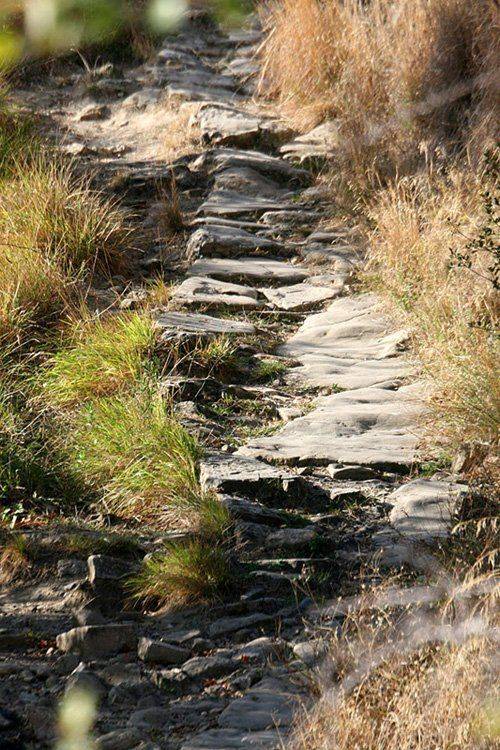 тропинка, Александр Цабель