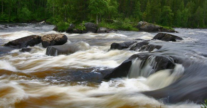 природа, кереть, Кереть фото превью