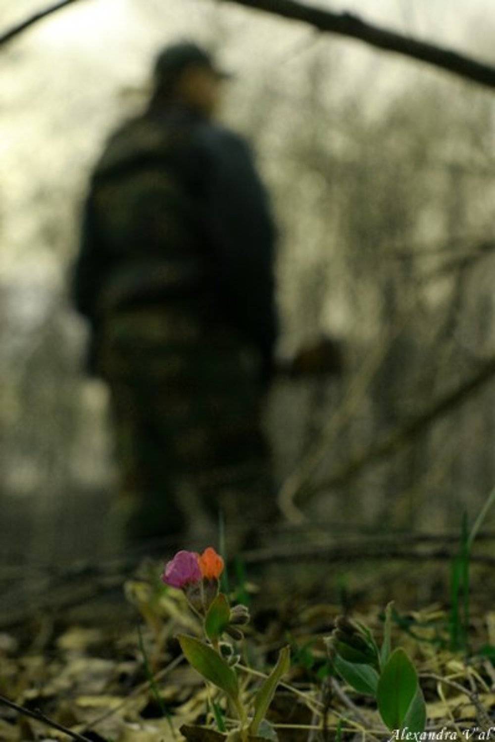 охота, ружьё, цветы, весна, сезон, Саша Вяль