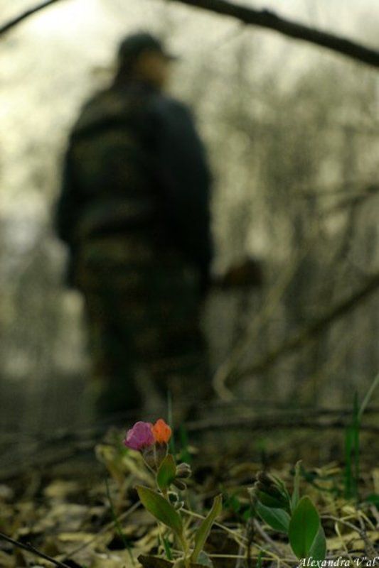 охота, ружьё, цветы, весна, сезон Весна. Открытие охотничьего сезона фото превью