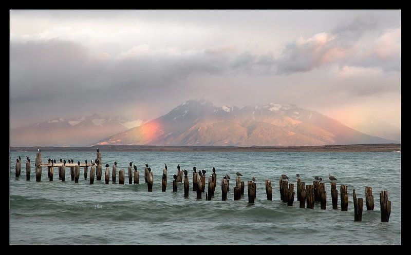 чили, пуэрто наталес,птицы, радуга,патагония Встречая новый день.... фото превью