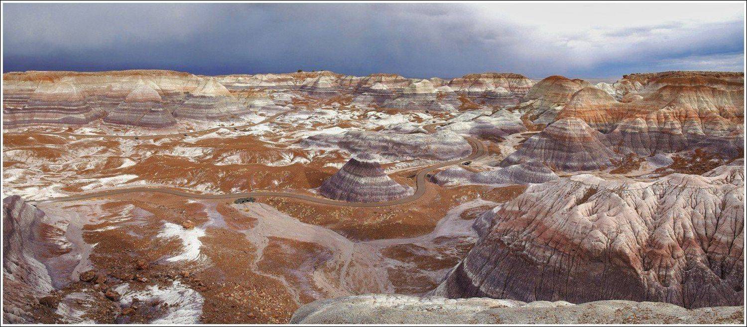 аризона, каменный, лес, Григорий Иващенко