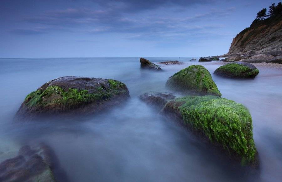 море, лето, Павел Пронин