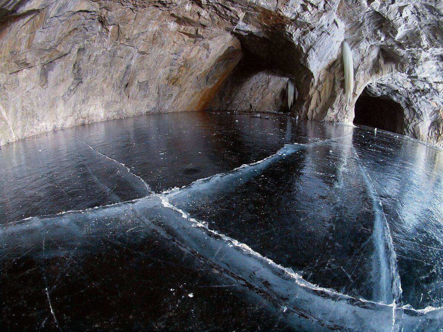 , Максим Евдокимов