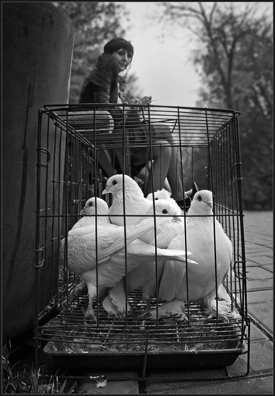 Счасть в неволе ... фото превью