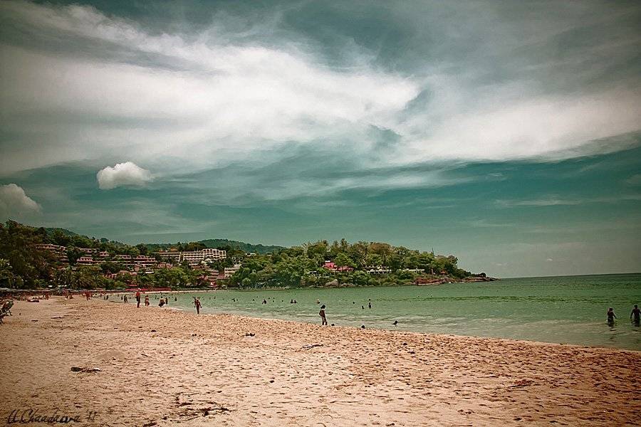 , Чаадаева Анна