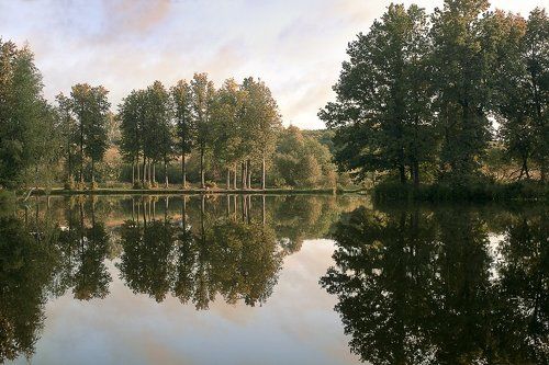 Параллельные миры