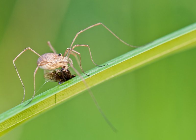 . фото превью