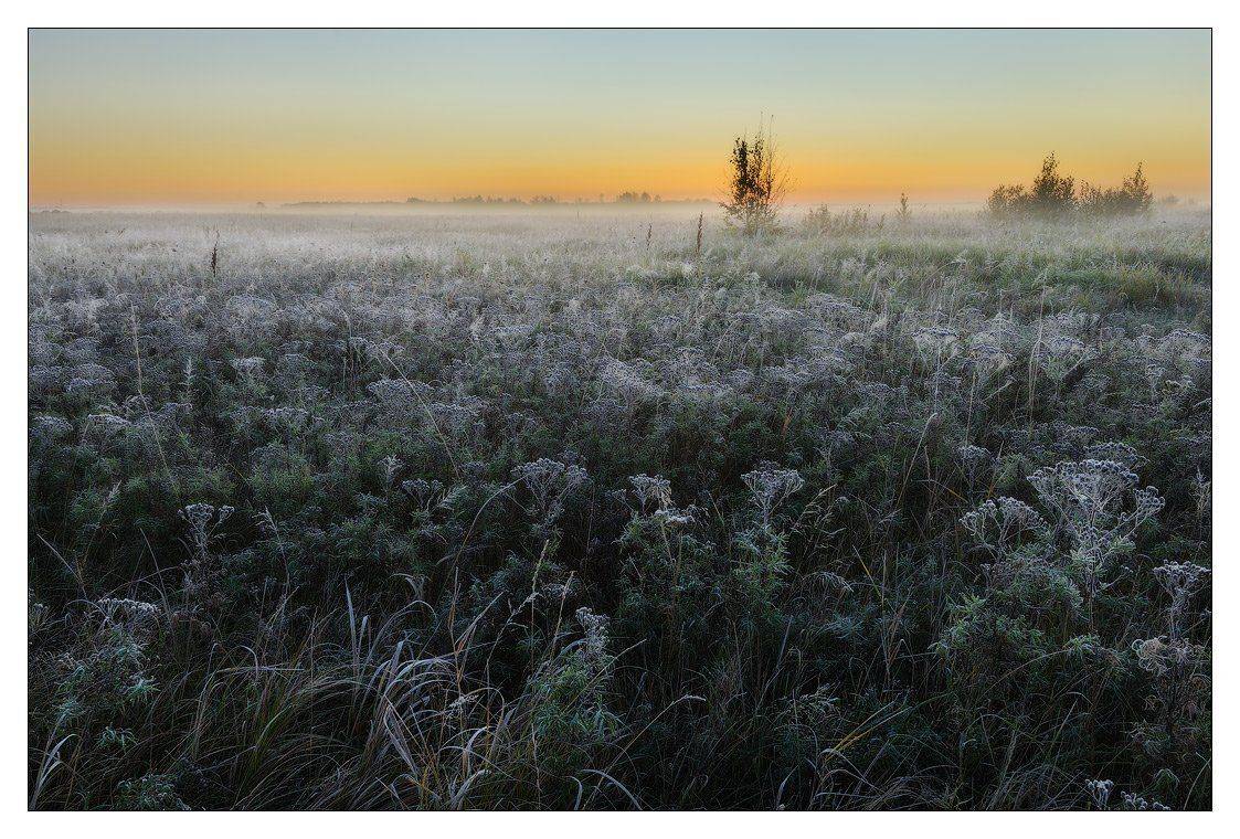 , Евгений Мартов