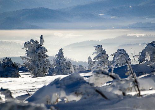 Шерегешские дали