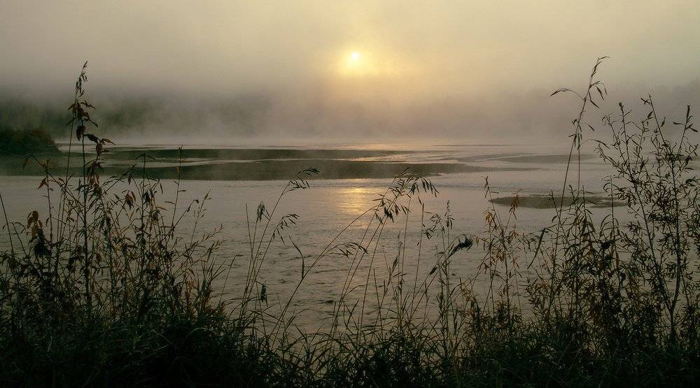 , Николай Морский