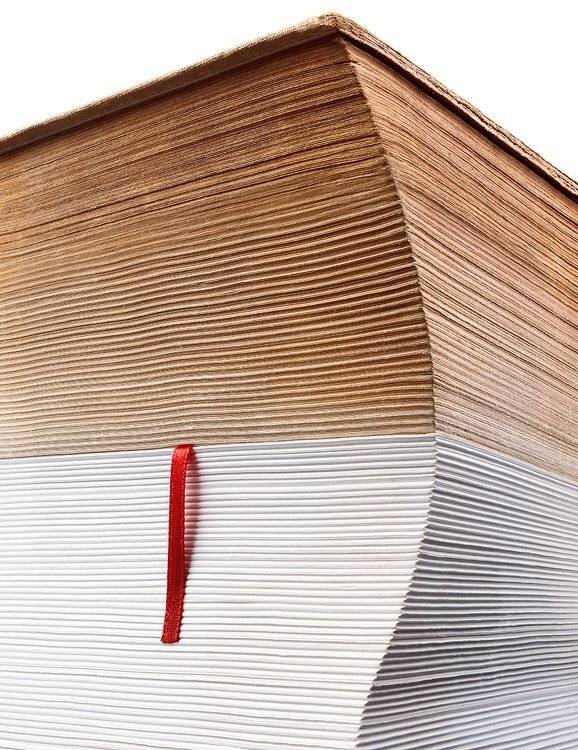 , Владимир Полещук