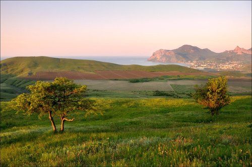 Крымская зарисовка