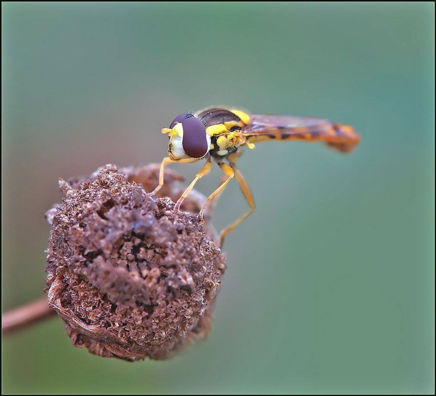 , Евгений Кирилкин.
