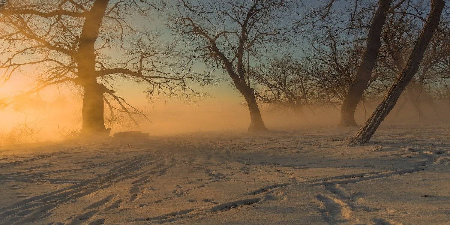 город, парк, зима река кубань, ФЁДОР