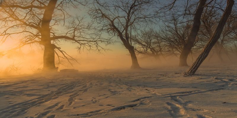 город, парк, зима река кубань СНЫ О ЧЕМ-ТО БОЛЬШЕМ фото превью