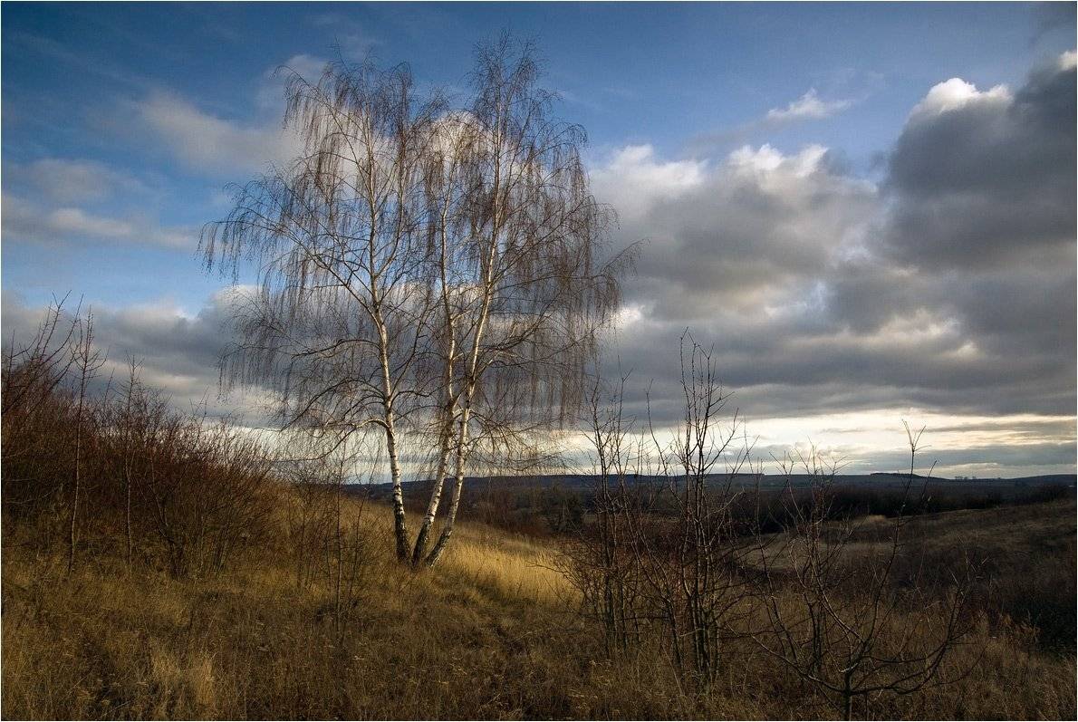 , Николай Шахманцир