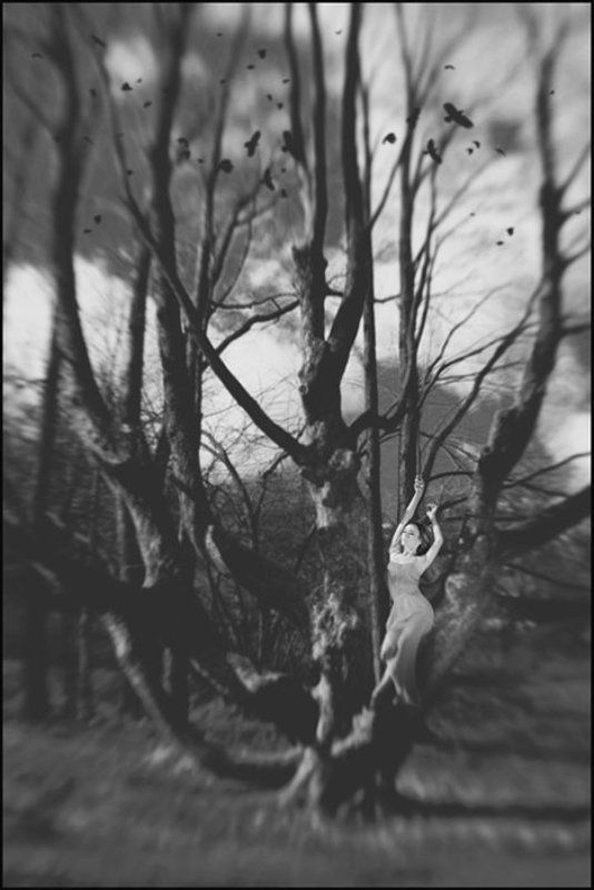 сон сон фото превью