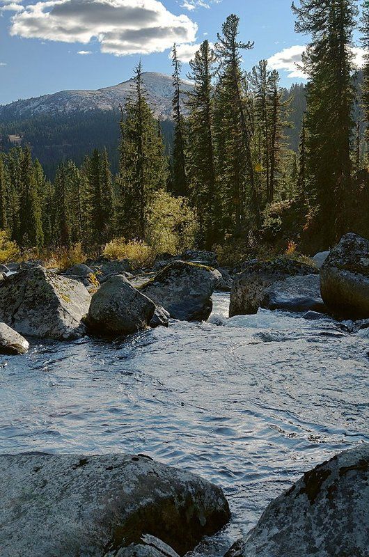 Хроника одной реки 3 фото превью