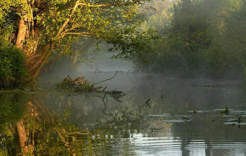 У Водяного фото превью