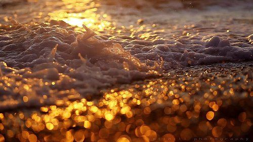 янтарный крымский берег