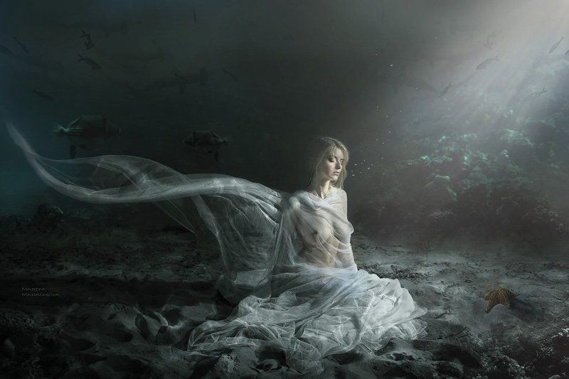 Жемчужина фото превью