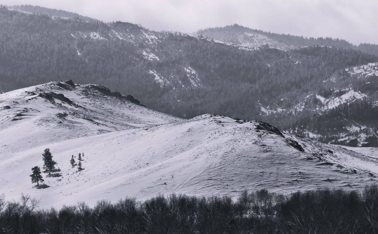 , Андрей Журавлев