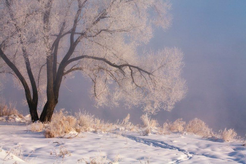 зима, мороз, утро ...Мысли о зиме... фото превью