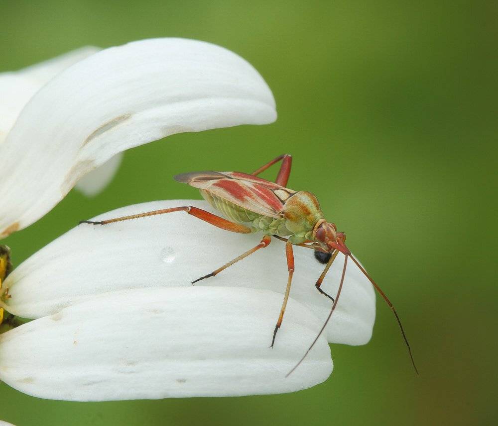 , Сергей Таланов