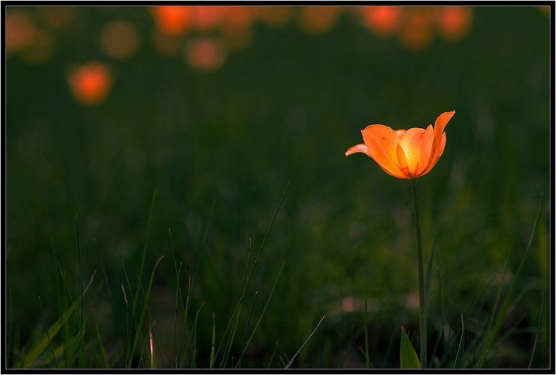 Фонарик фото превью