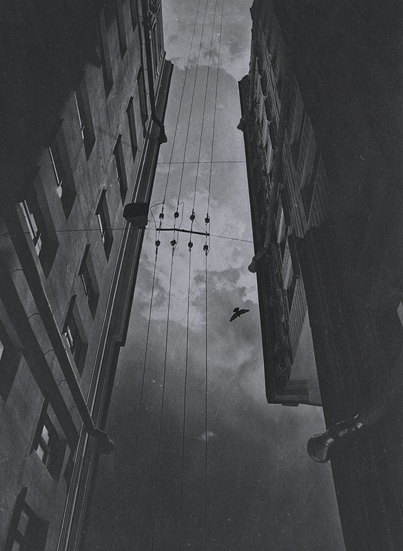 под ногами фото превью