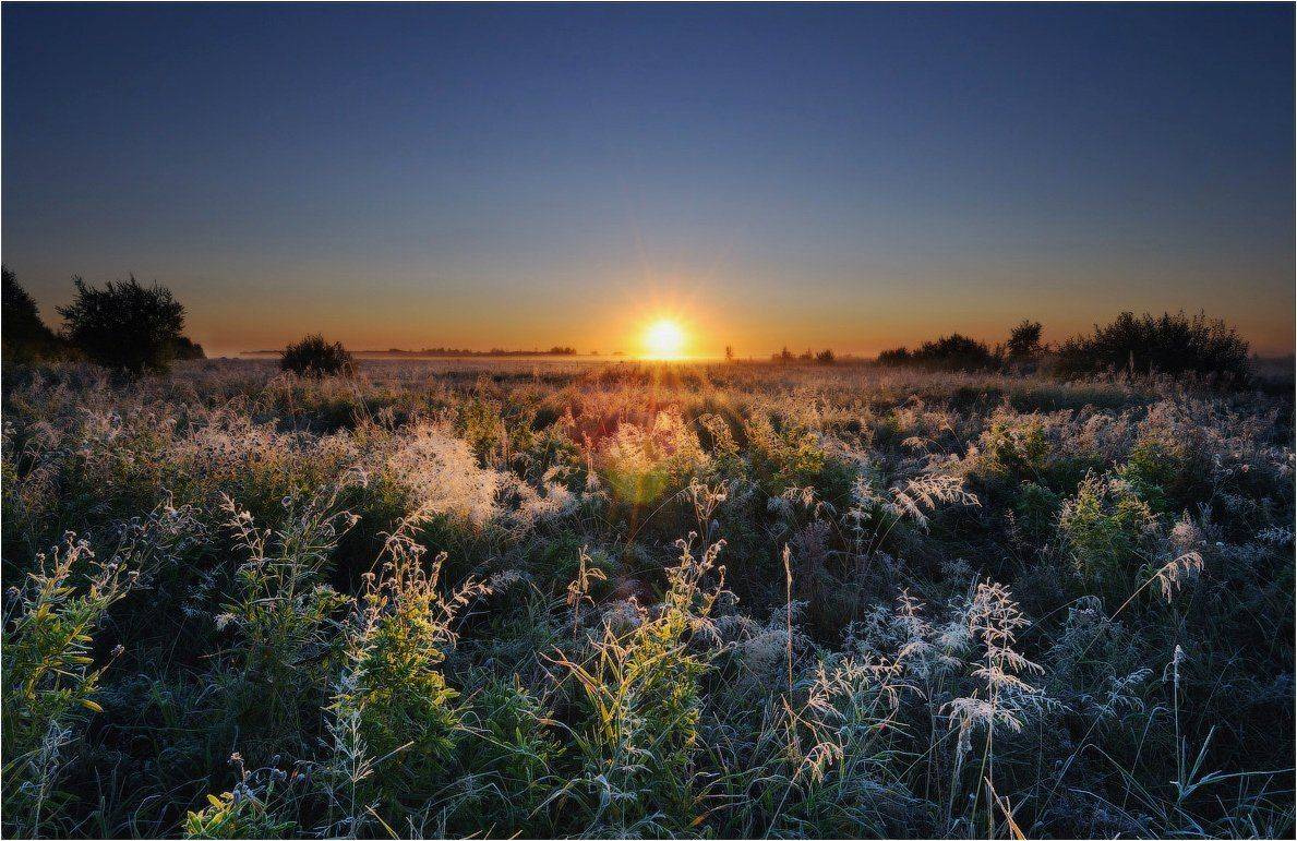 утро, рассвет, Евгений Мартов