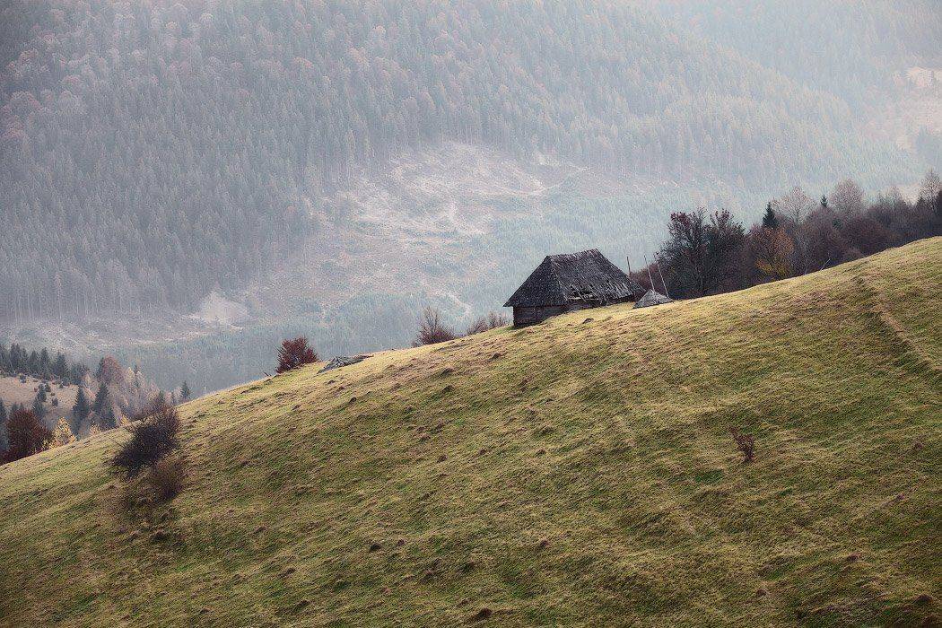 карпаты, ноябрь, осень, Вейзе Максим