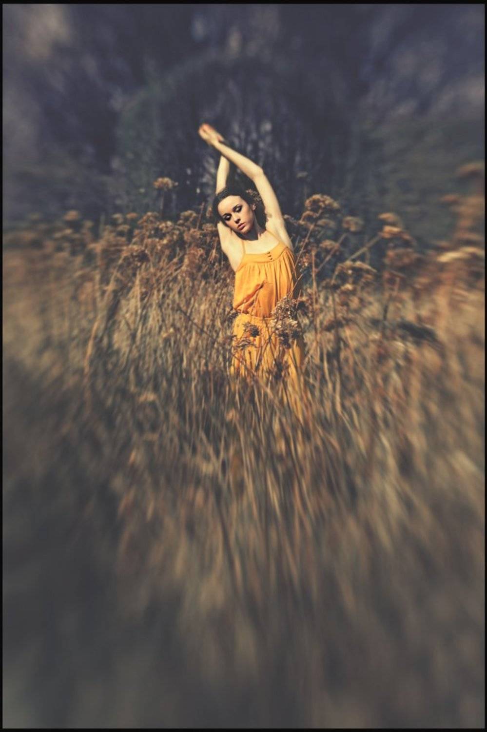 сон, ..., Александр Ростов