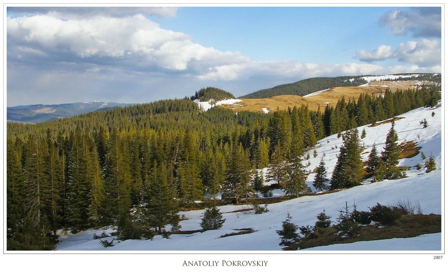 карпаты, весна, горы, хребет пниве, вечер, облака, ель, анатолий покровский, Анатолий Покровский