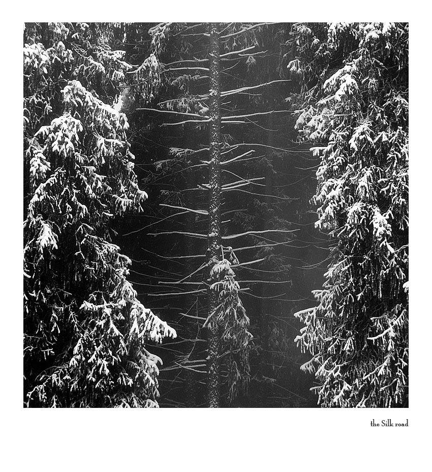 тянь-шань, Vasily Kosivtsov