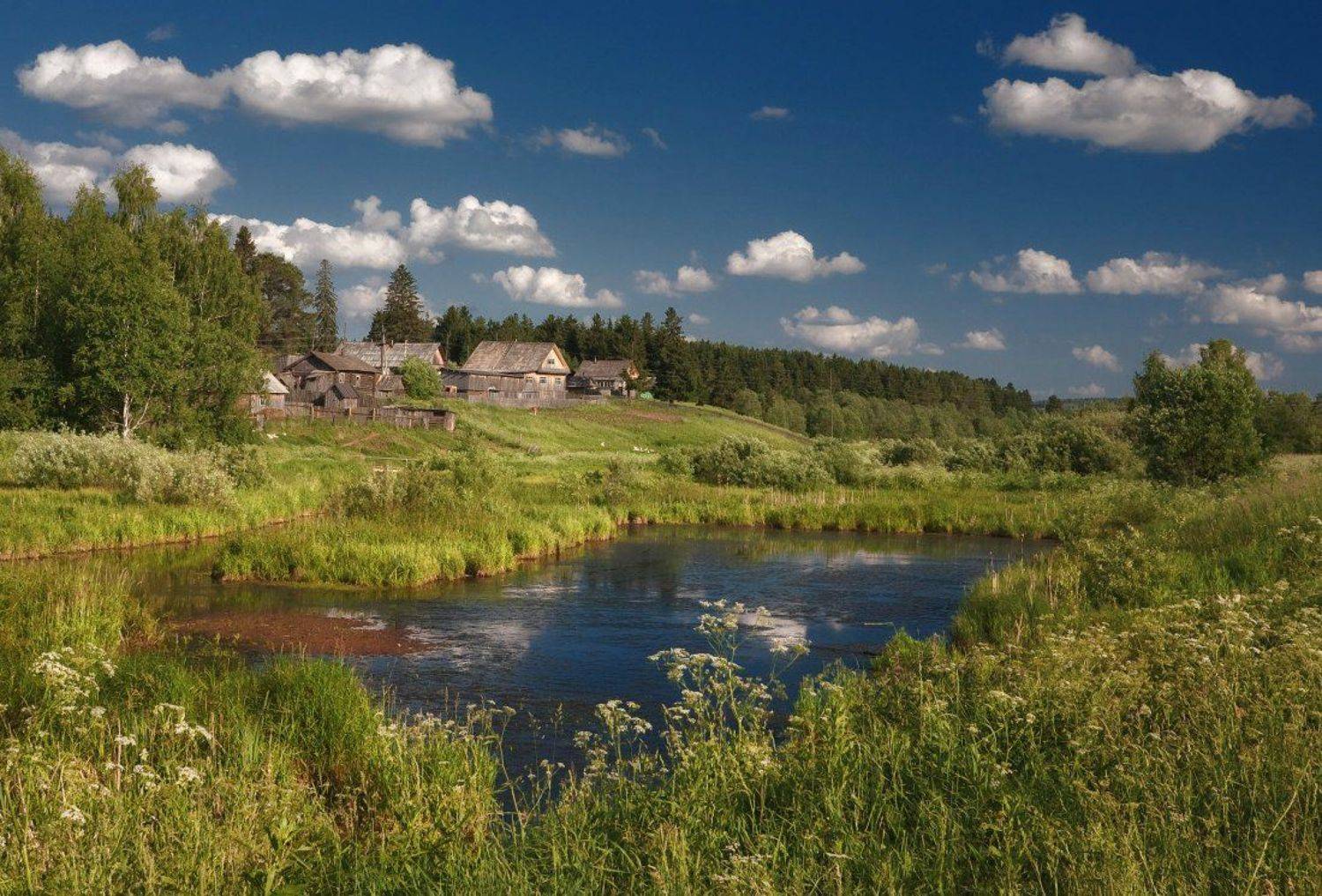 речка, трава, цветы, деревня, домики, лес, облака, лето, Георгий Машковцев