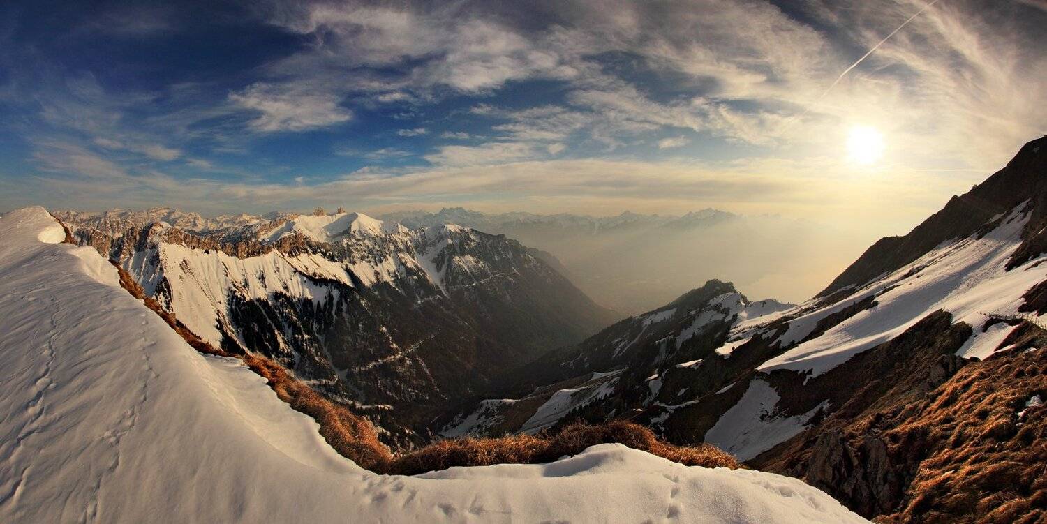 swiss, Матвеев Николай