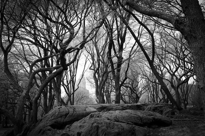 low season фото превью