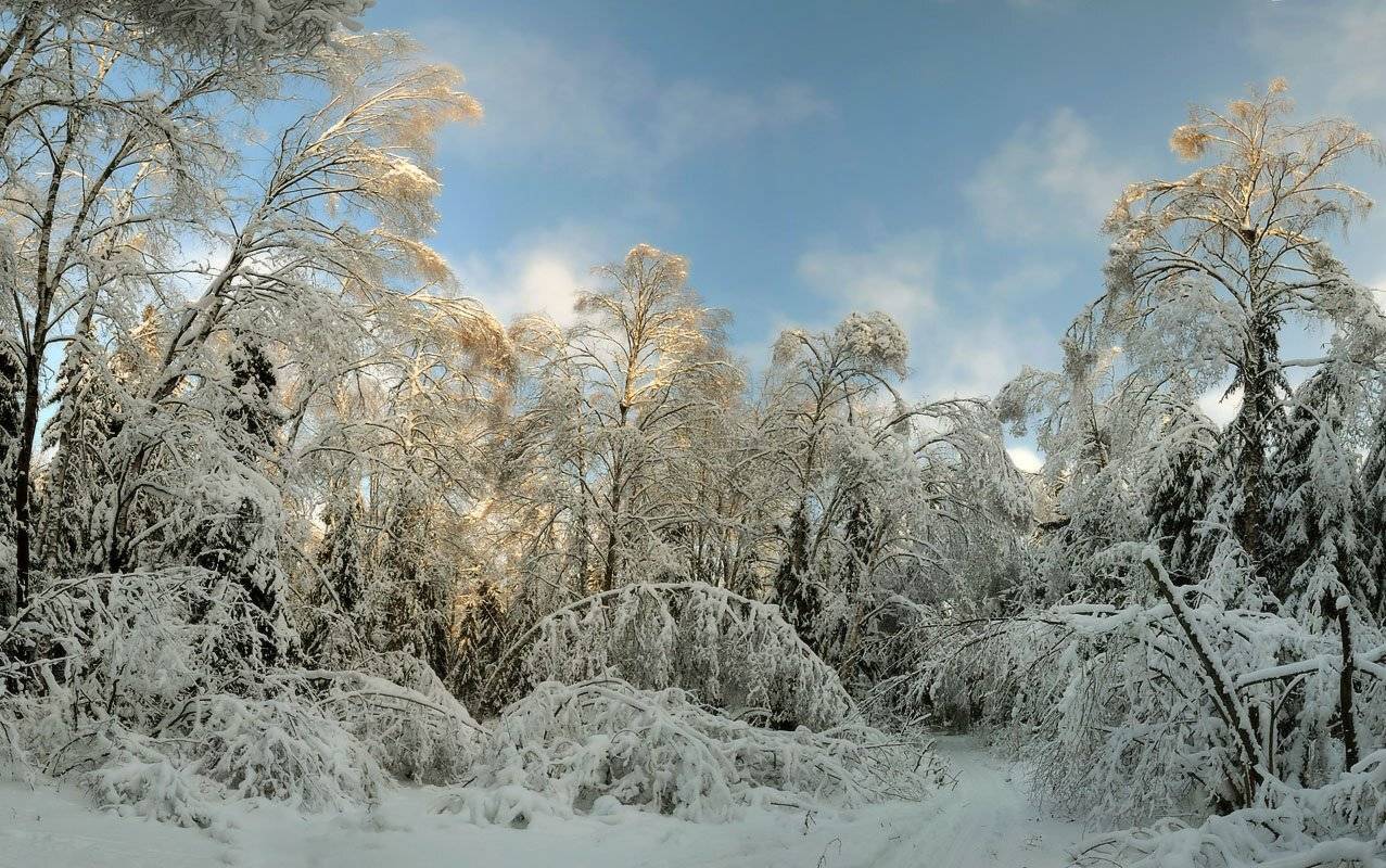 зима, снег, Сергей Седов