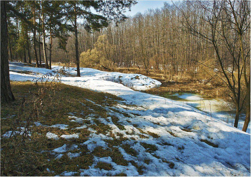 россия, подмосковье, апрель, природа, весна, Сергей Гаспарян