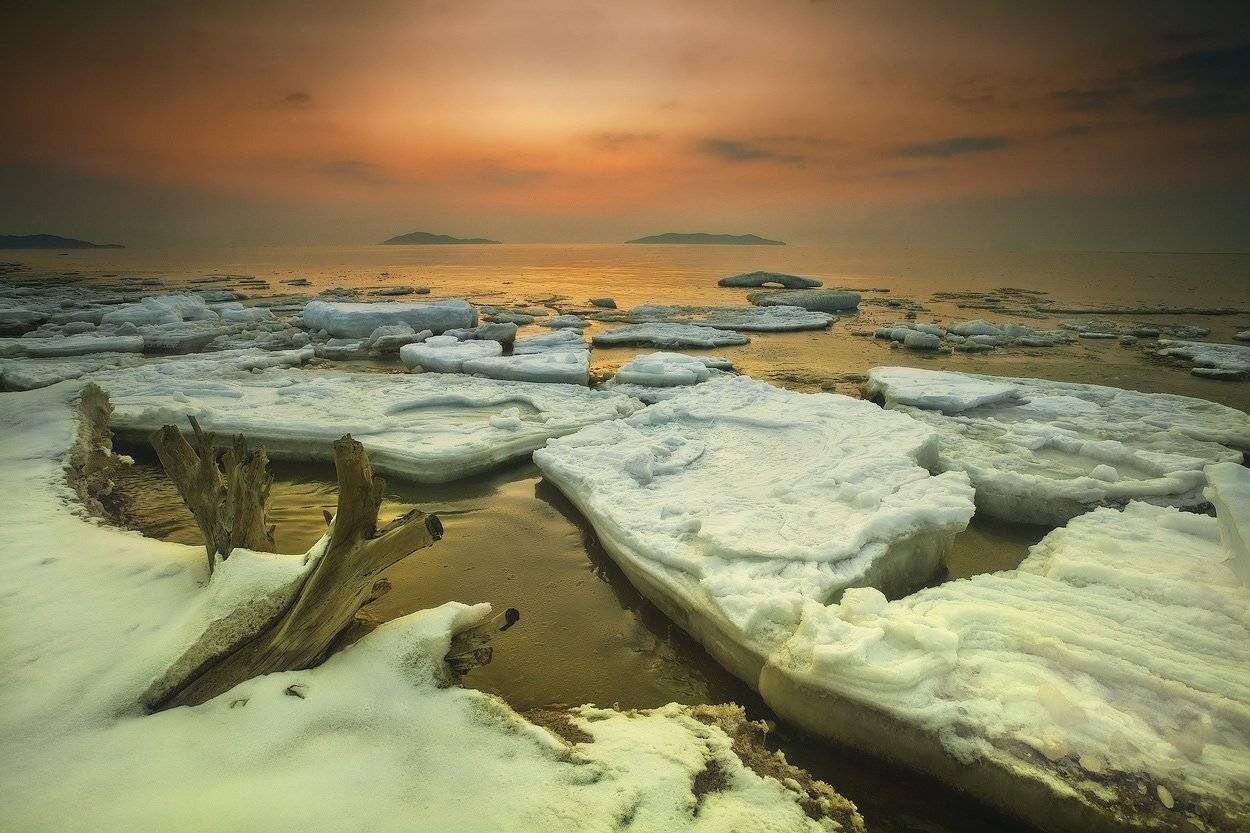 море, утро, восход, лёд, пень, Андрей Кровлин