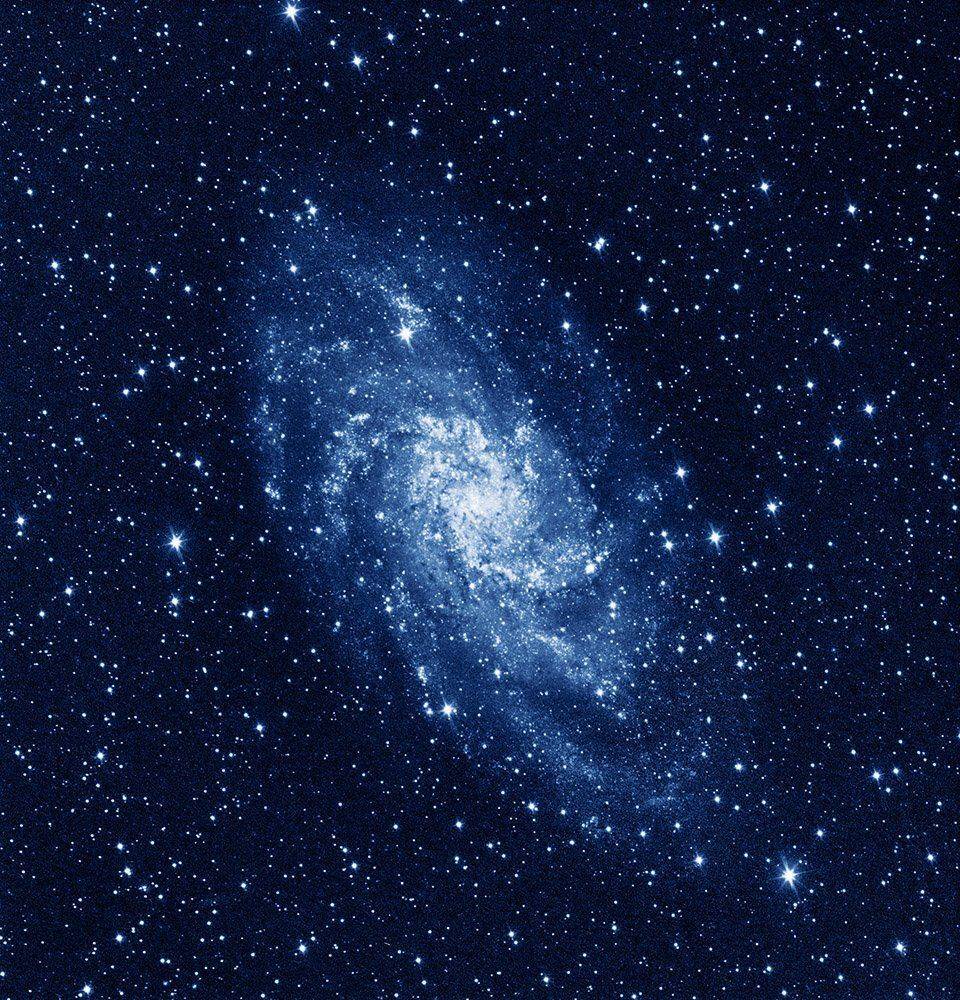 , Konstantin Mironov