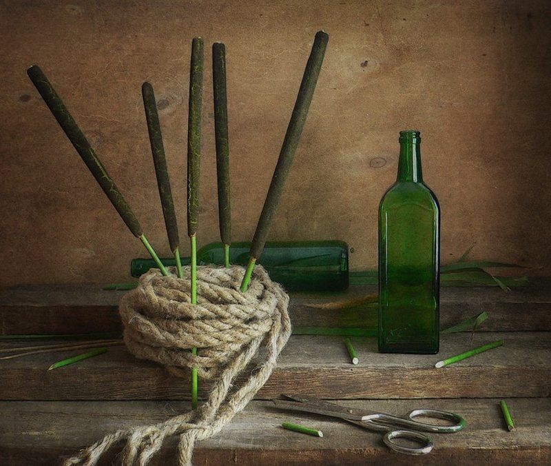 С рогозом фото превью