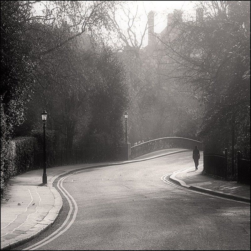 лондон, риджент-парк *** фото превью