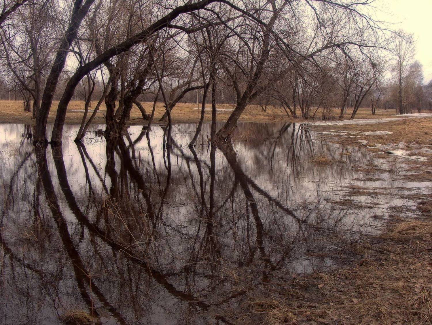 , Галина Хвостенко