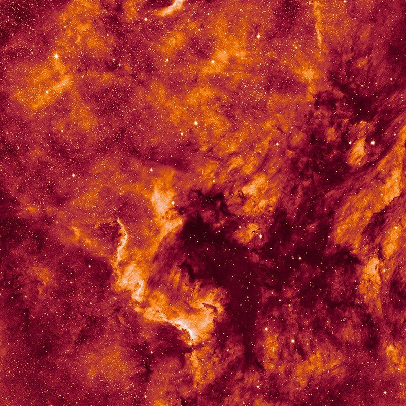 ngc7000, america, pelican, cygnus, star, nebula Туманность Северная Америка фото превью