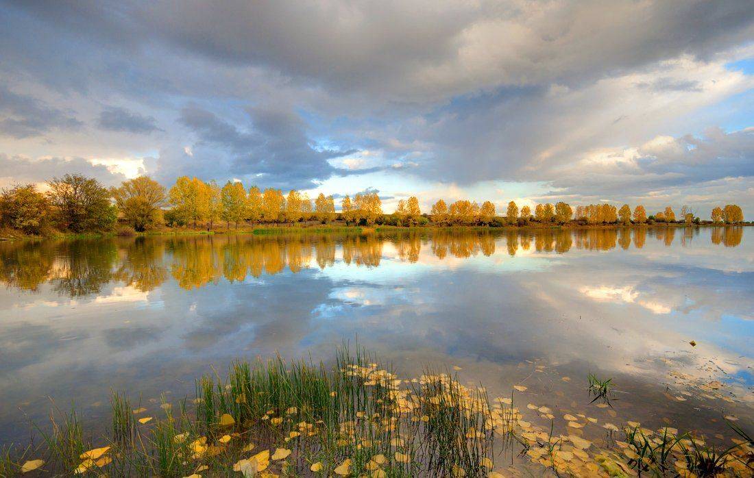 , Philip Peynerdjiev