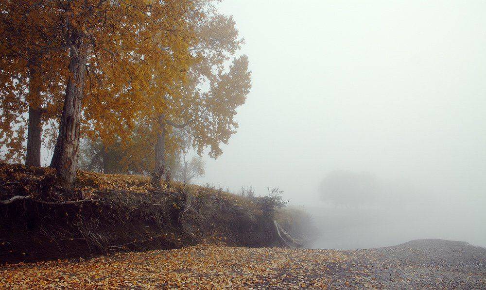 , Николай Морский